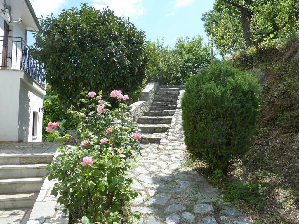 Villa Thea Makrirrákhi Zewnętrze zdjęcie